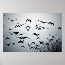 Take Flight Posters