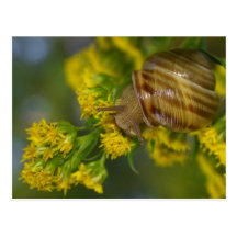 Take it easy post cards