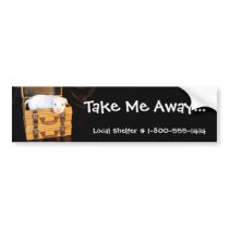 Take Me Away... bumper stickers by beverlytazangel Take Me Away... bumper stickers