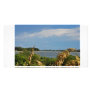 Take Me Away Photo Card