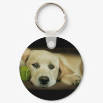 Take me for a drive! keychains by dogsdogsdogsdogsdogs Take me for a drive! keychains