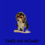 TAKE ME HOME! T-Shirt (Beagle Puppy)