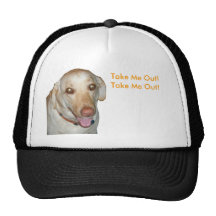 Take Me Out! Take Me Out! Hat