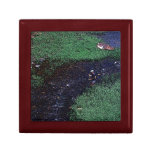 Take Me To The River Keepsake Boxes