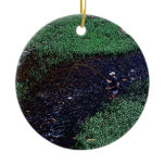 Take Me To The River Ornaments