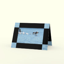 Take Off cards by MoiraAshleigh Take Off cards