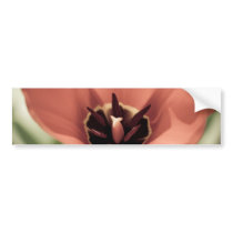 take on spring bumper stickers