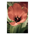 take on spring posters