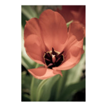 take on spring posters