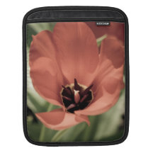 take on spring sleeve for iPads