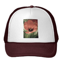 take on spring trucker hats