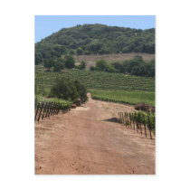 Take the Road less Traveled postcards by pattirm1 Take the Road less Traveled postcards