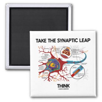 Take The Synaptic Leap Think (Neuron / Synapse) Magnets