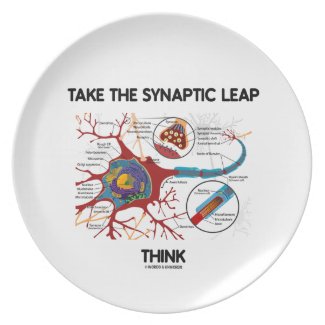 Take The Synaptic Leap Think (Neuron Synapse) Party Plate
