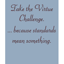 Take the Virtue Challenge. , ... because standa... t-shirts