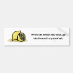 take-them-with-a-grain-of-salt bumper stickers