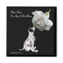 Take Time To Smell Roses Affirmation Magnet