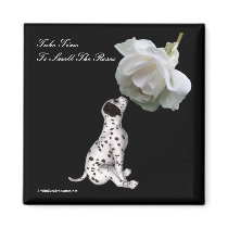 Take Time To Smell Roses Affirmation Magnet by SmilinEyesTreasures Take Time To Smell Roses Affirmation Magnet