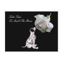 Take Time To Smell Roses Affirmation Postcard