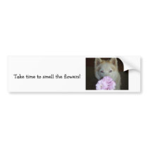 Take time to smell the flowers! bumper sticker