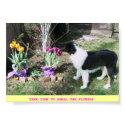 TAKE TIME TO SMELL THE FLOWERS -COLLIE PUP posters