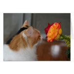 "Take Time to Smell the Roses" cards