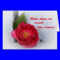 Take time to smell the roses cards