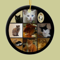Take Your Cat to Work Day ornaments
