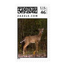 Taken By Surprise Stamp