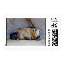 TAKIN POSTAGE STAMPS