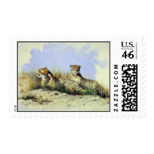 Taking a break, Cheetahs Postage