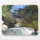 Taking a Dip - Raccoon Mousepad