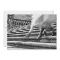 Taking a walk by Compostela Custom Invites