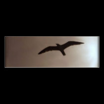 Taking Flight business cards