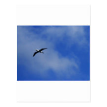 Taking Flight Postcards