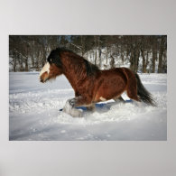 Taking It In Stride-Clydesdale in the Snow Print