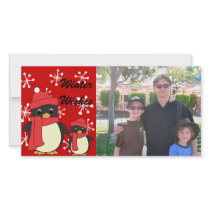 Taking Little Penguin for a Walk photo cards by candystore Taking Little Penguin for a Walk photo cards