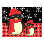 Taking Little Penguin for a Walk Post Card
