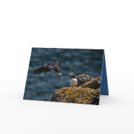 Taking Off Puffin card