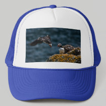 Taking Off Puffin hats