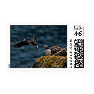 Taking Off Puffin stamp