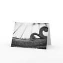 Takoma Park Card