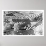 Taku Glacier Alaska 1914 posters