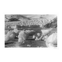 Taku Glacier Alaska 1914 posters