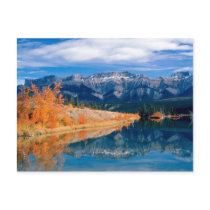 Talbot Lake Jasper Alberta ,Canada postcards