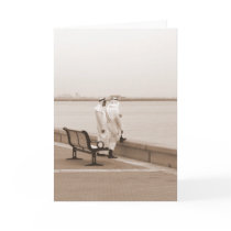 Talk Talk cards