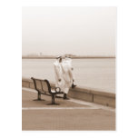 Talk Talk, Men in Dishdasha in Kuwait Post Card