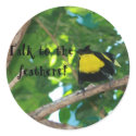 Talk to the feathers! Stickers