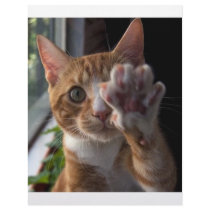 talk to the paw letterhead by Ceyzpurplestang talk to the paw letterhead