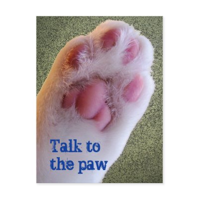 Talk to the Paw Postcard by odd_eyed